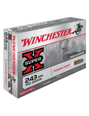Winchester 243 power max bonded 100gr