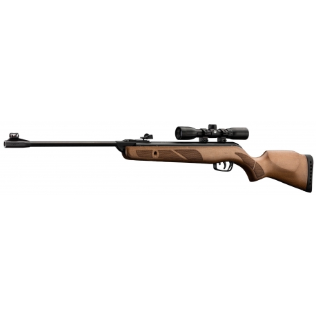 Carabine GAMO Forest Combo Bois avec lunette 4 x 32