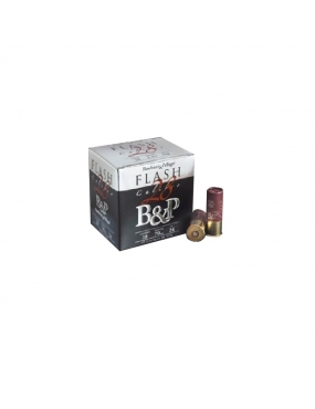 B&P flash 24 hv