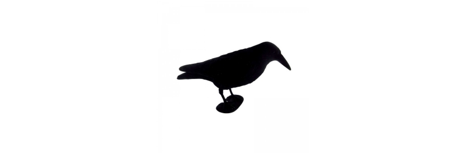 Corbeaux